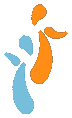 Logo STSO